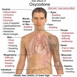 oxy addiction and abuse