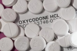 oxycodone abuse