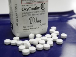 oxycodone addiction